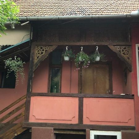 Apartament Cezara Mediaş Zewnętrze zdjęcie