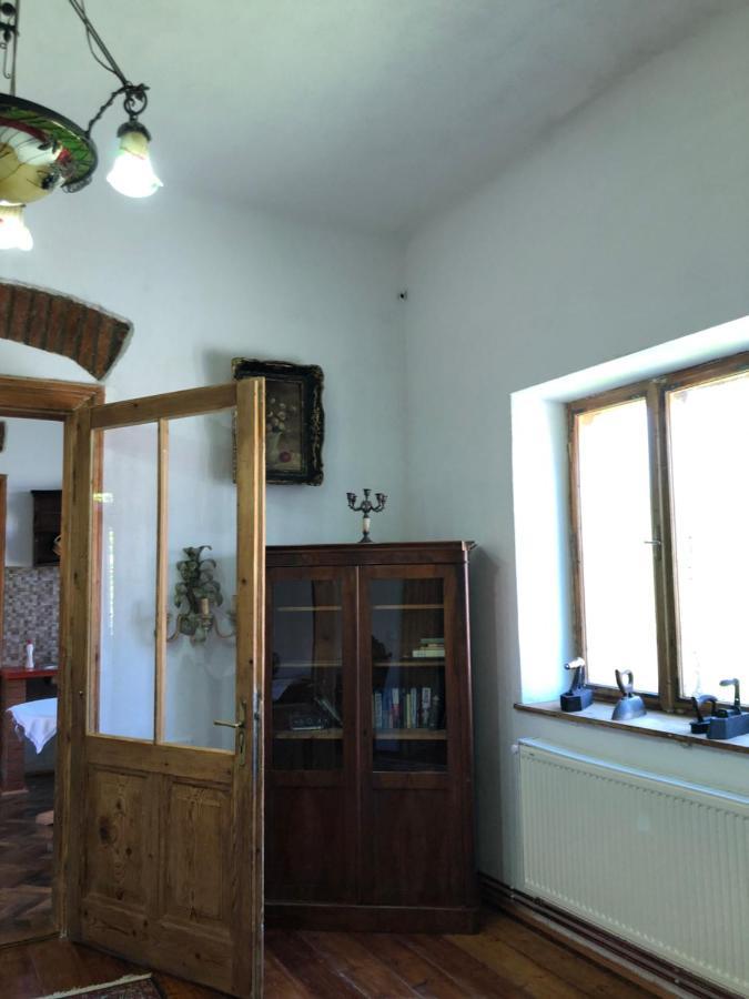 Apartament Cezara Mediaş Zewnętrze zdjęcie