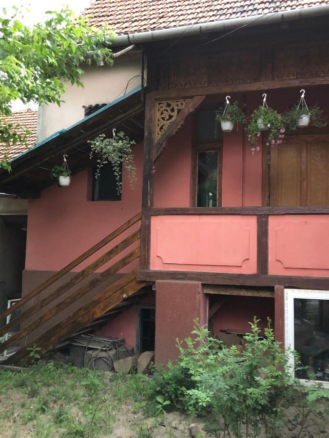 Apartament Cezara Mediaş Zewnętrze zdjęcie
